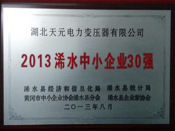 2013年浠水中小企業(yè)30強(qiáng)